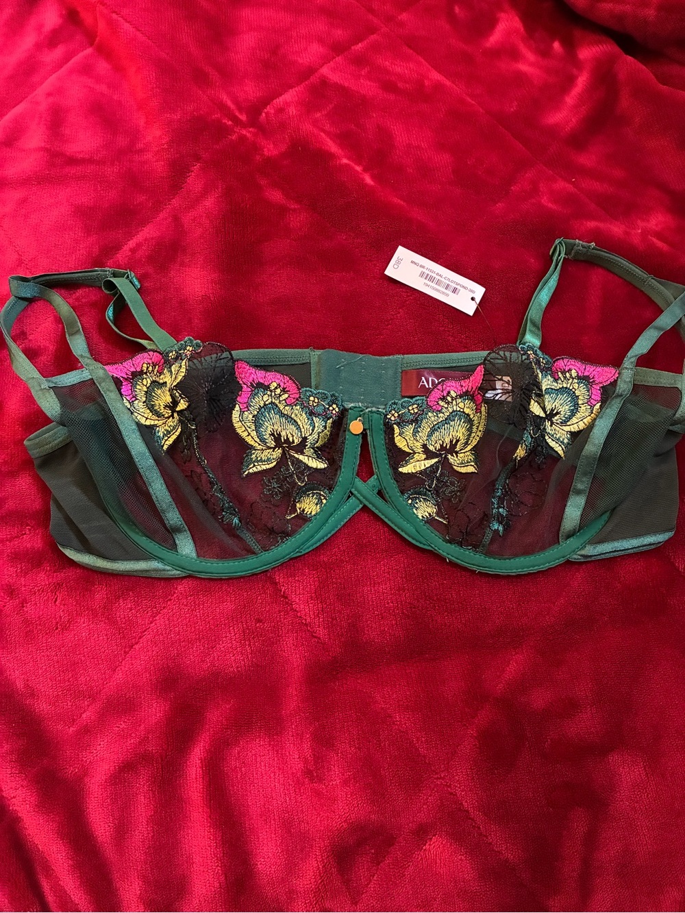 Beautiful NWT embroidered mesh underwire bra